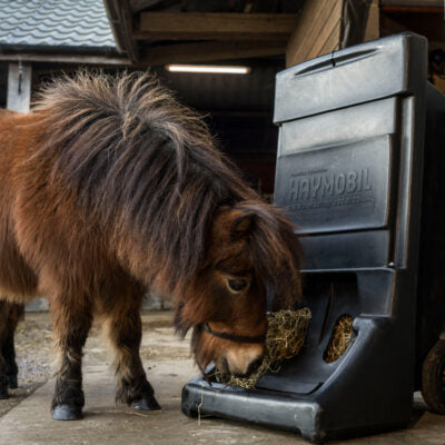 HayMobil Hay Soaker, Slow Feeder