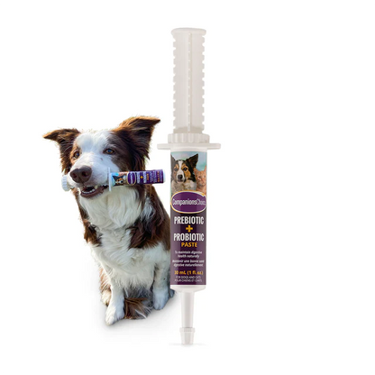 Companion Choice Pre and Probiotic for Dogs and Cats
