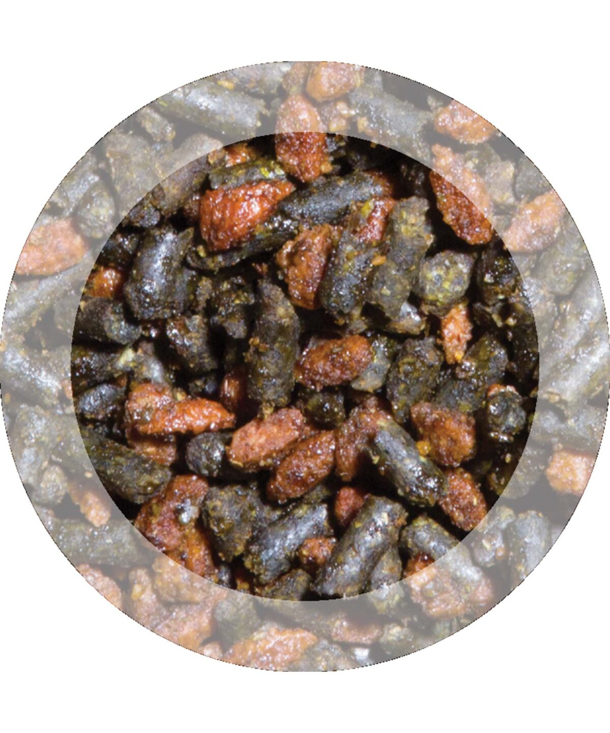 Evolution Senior Horse Feed
