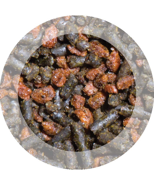 Evolution Sport Elite Horse Feed by Purina