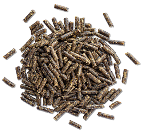 Ration Balancer Pellets by Harmony Premium Equine Feeds