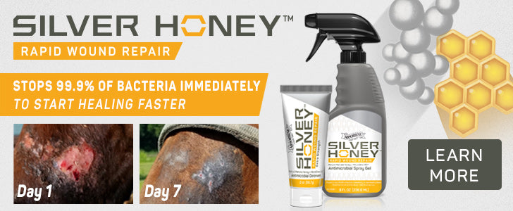 Silver Honey Rapid Wound Repair