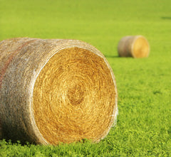 SiloGuard II, Baled Hay and Silage Additive