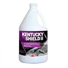 Kentucky Shield