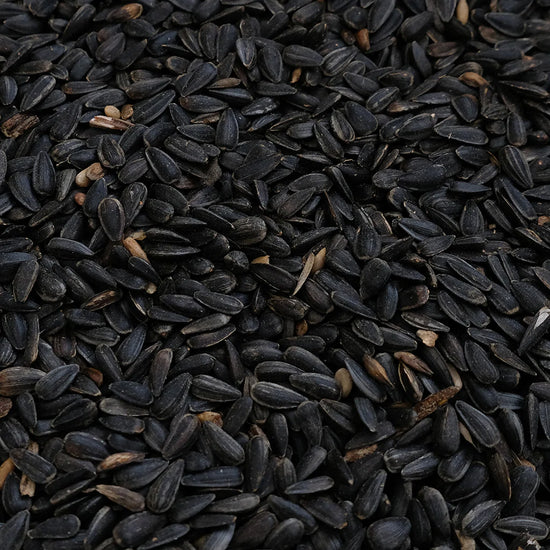 Black Oil Sunflower Seeds