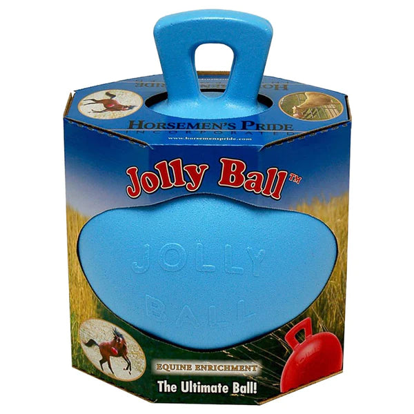 Jolly Ball  10" with Handle