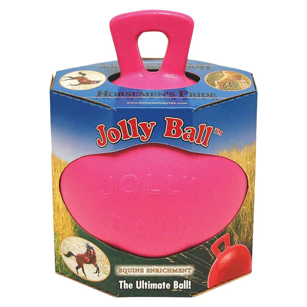 Jolly Ball  10" with Handle