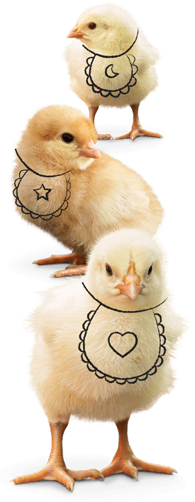 Chirp! Chirp! Chirp! … We ain’t ready to nap!