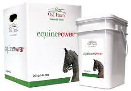 Equine Power