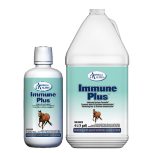 Immune Plus by Omega Alpha