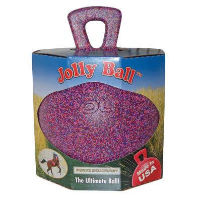 Jolly Ball  10" with Handle