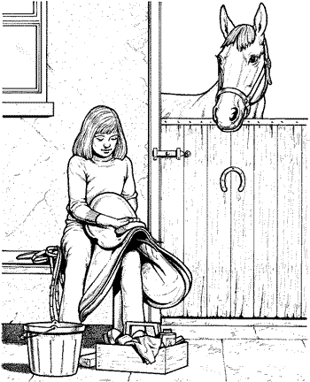 Barnyard, Stable, & Coop Supplies
