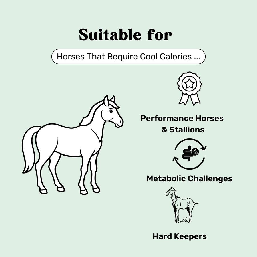 High Fat Pellet by Harmony Premium Equine Feeds