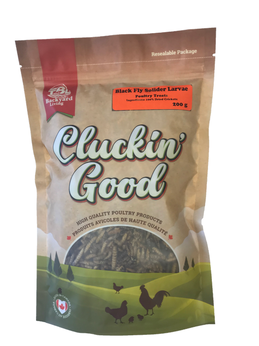Black soldier Fly Larvai (Grubs)  Treat for your poultry