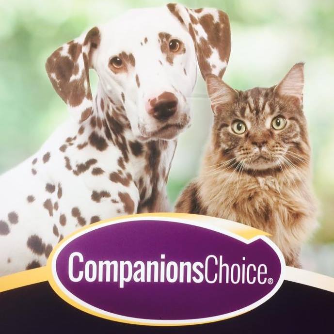 Companion Choice Pre and Probiotic for Dogs and Cats