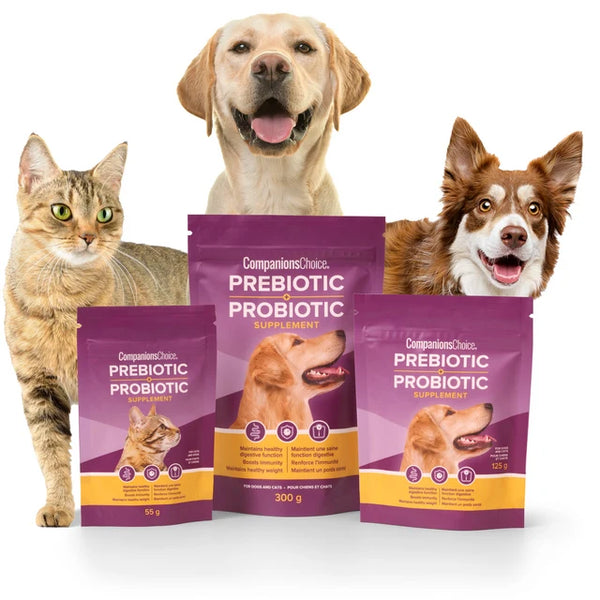 Companion Choice Pre and Probiotic for Dogs and Cats