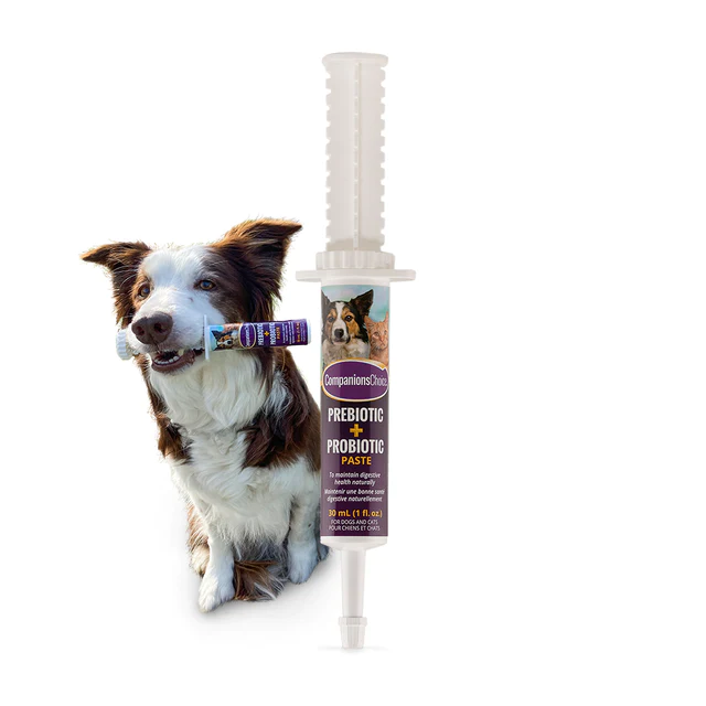 Companion Choice Pre and Probiotic for Dogs and Cats