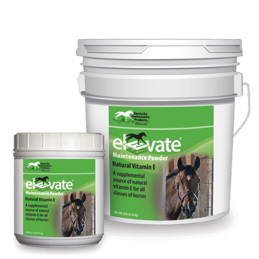 Elevate - Natural Vitamin E
