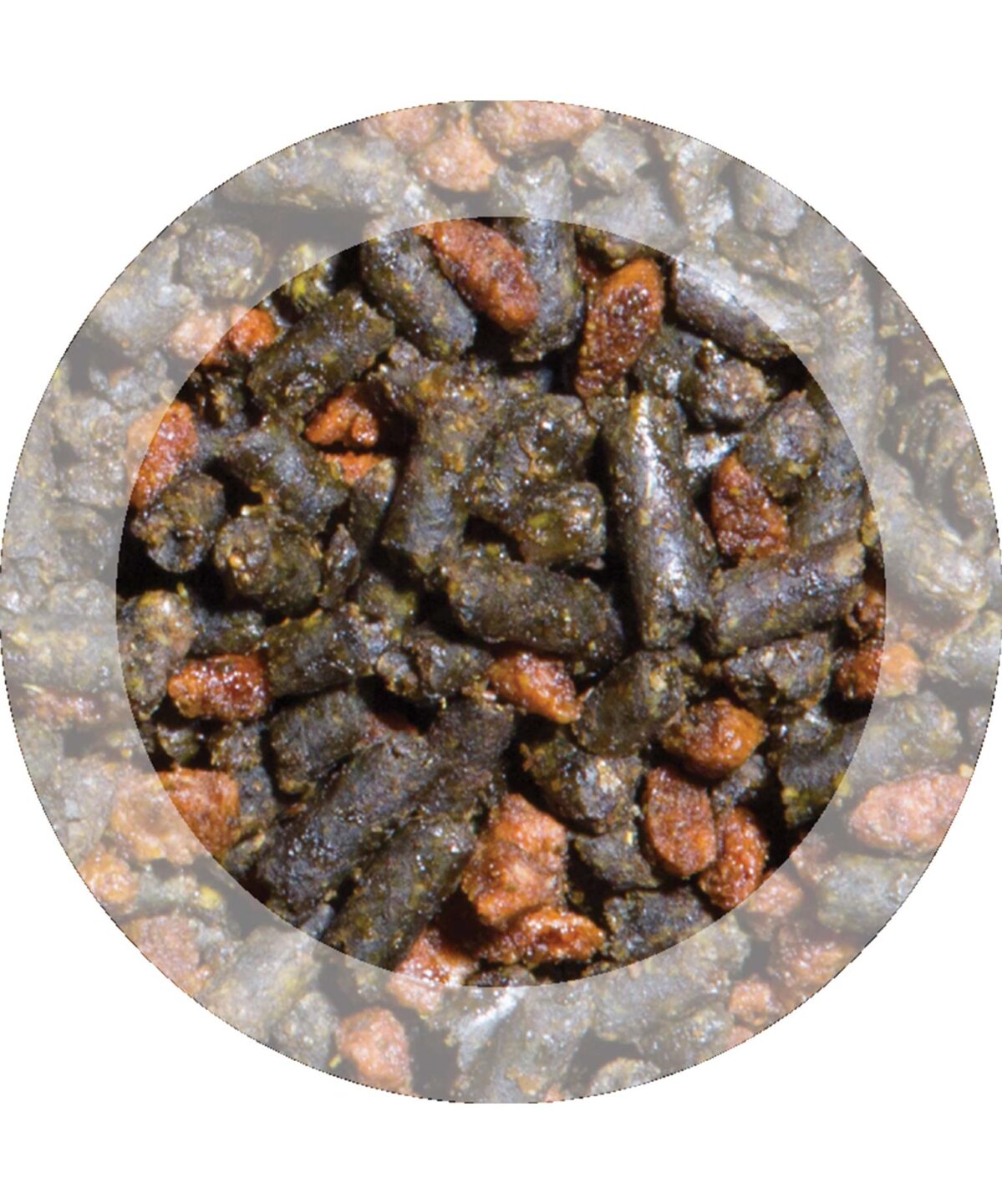 Evolution Maternity Horse Feed by Purina
