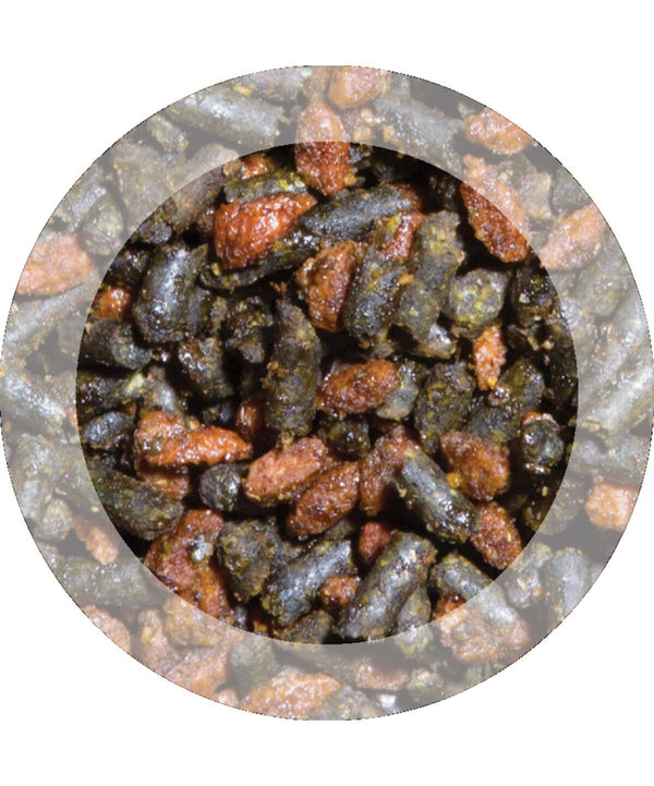 Evolution Senior Horse Feed