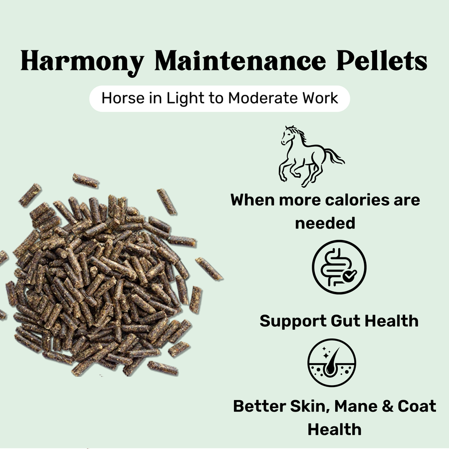 Maintenance Pellets by Harmony Premium Equine Feed