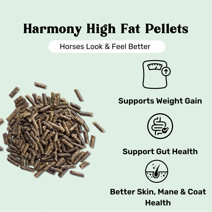 High Fat Pellet by Harmony Premium Equine Feeds