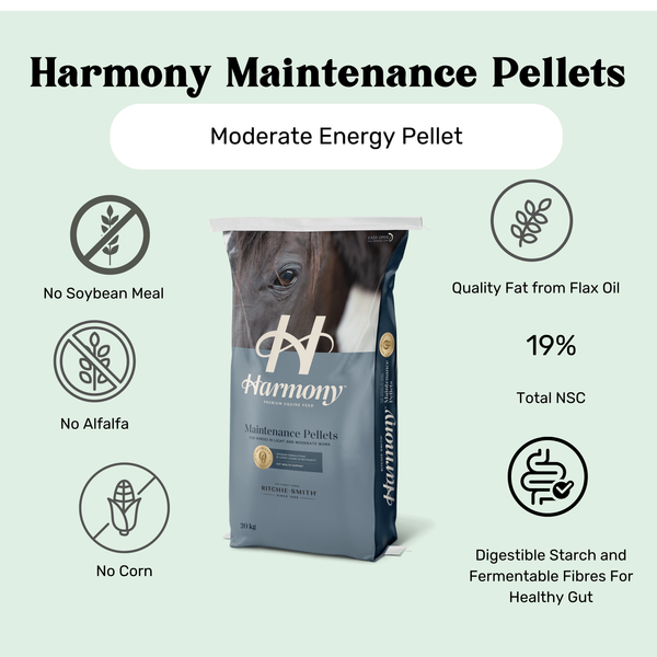Maintenance Pellets by Harmony Premium Equine Feed