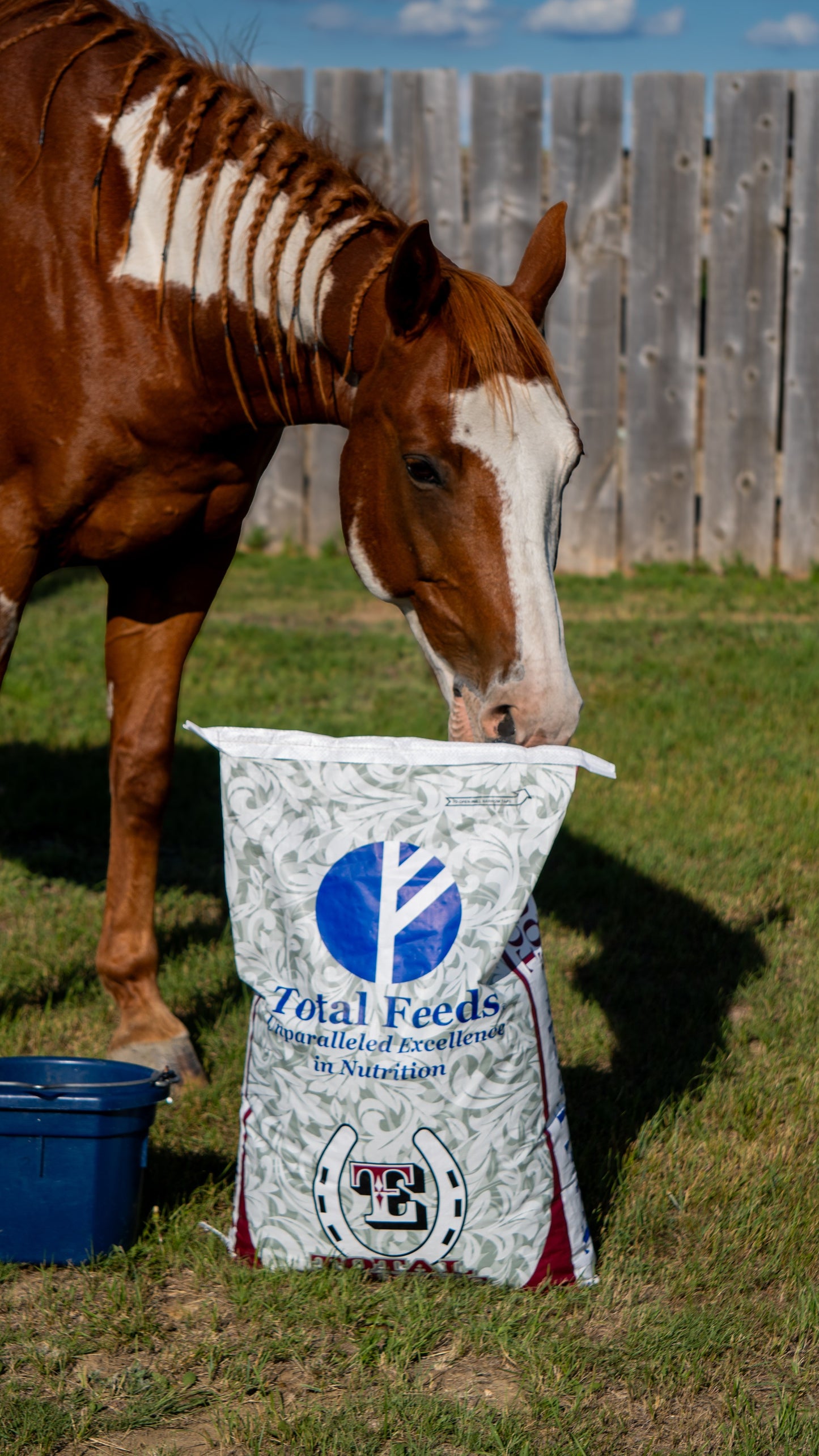 Total Equine® Feed