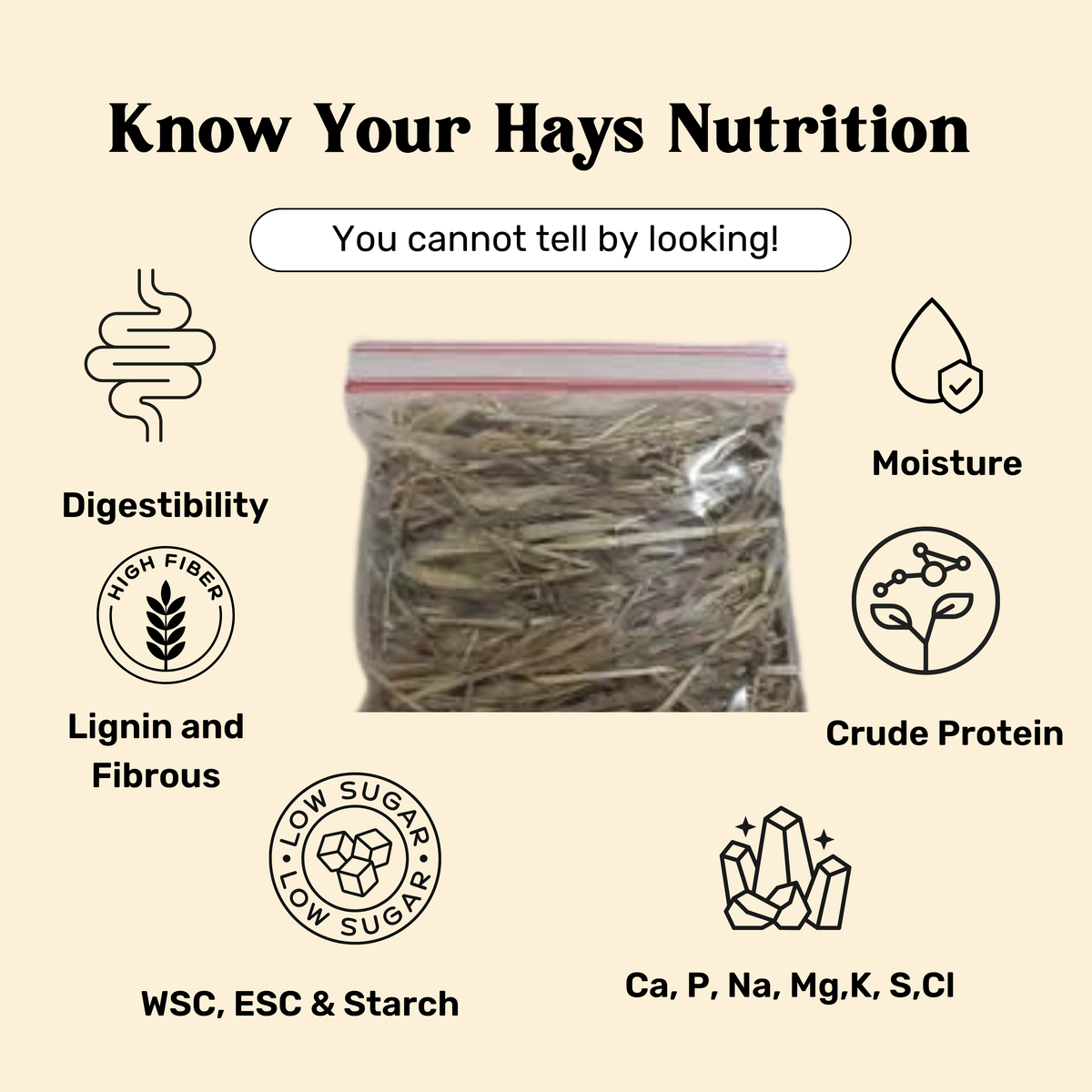 Hay Testing and Analysis