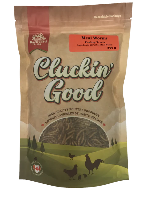 Meal Worms for poultry treat