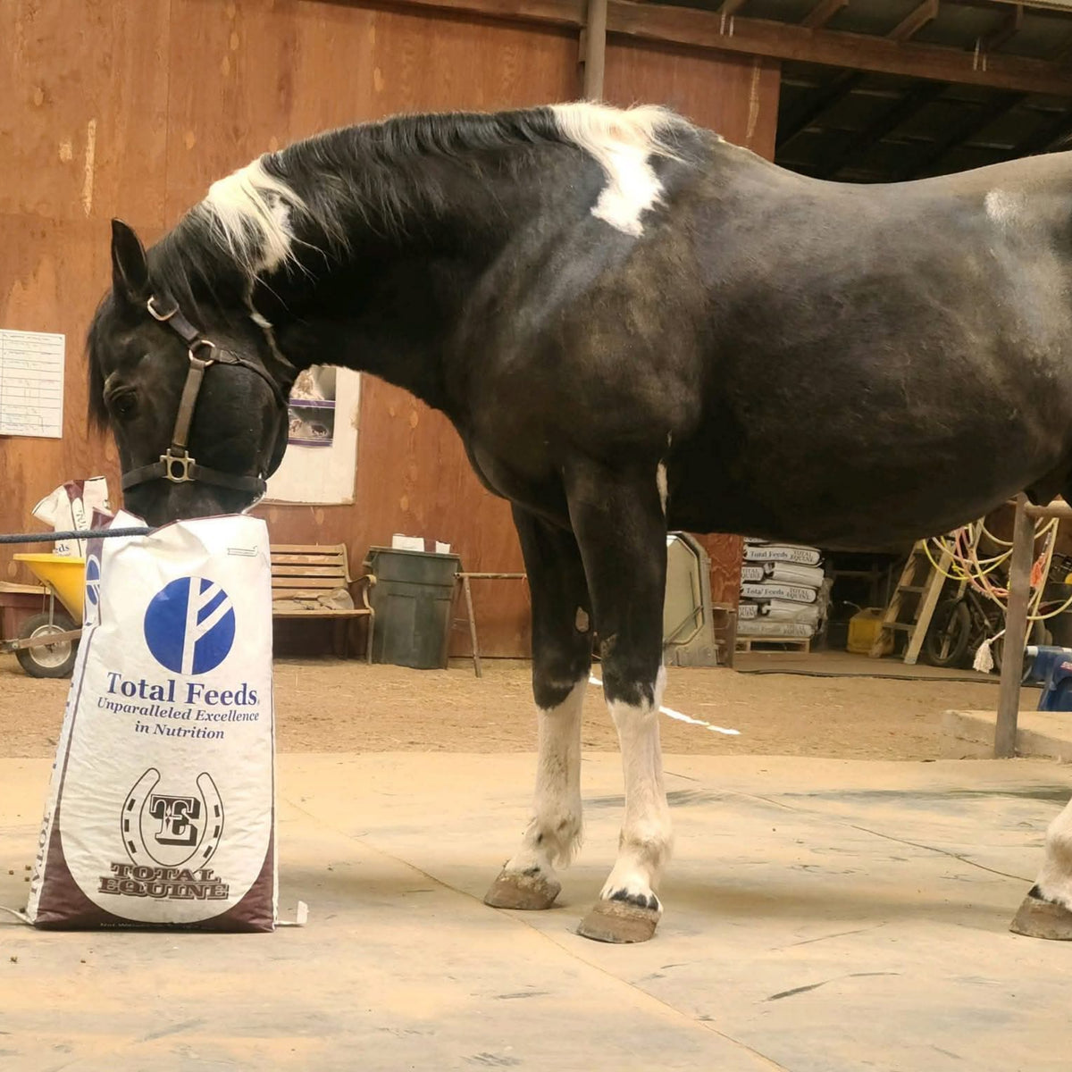Total Equine® Feed