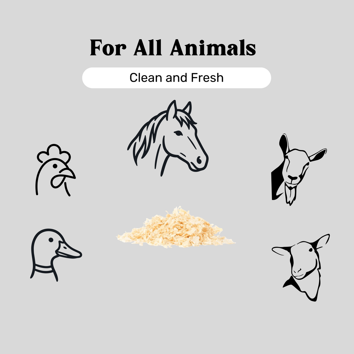 Shavings - Bagged