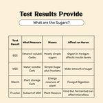 Hay Testing and Analysis 3