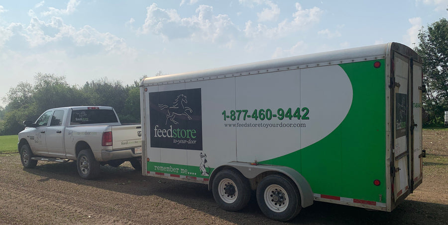 Seamless, Reliable Delivery  