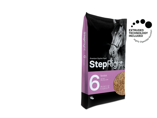 Step 6 Senior Horse Feed