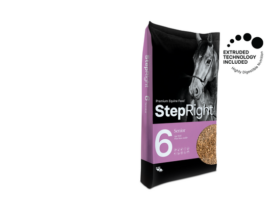 Step 6 Senior Horse Feed NEW FORMULATION