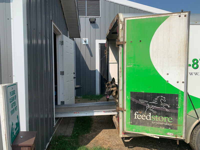 Equine Nutrition Delivery Service