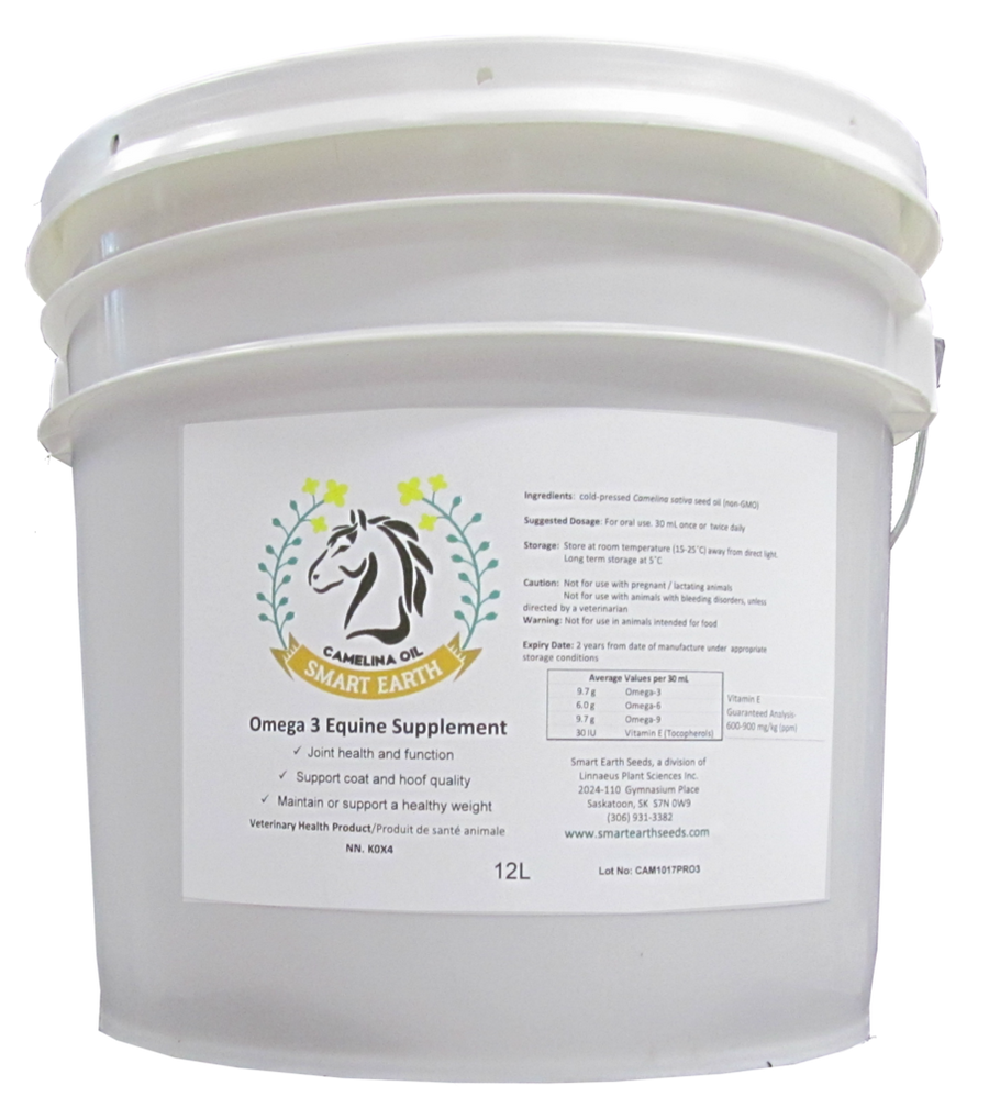 Camelina Oil