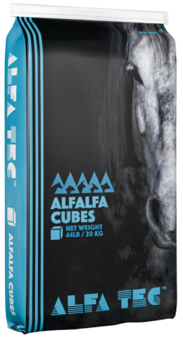 Alfalfa Hay Cubes