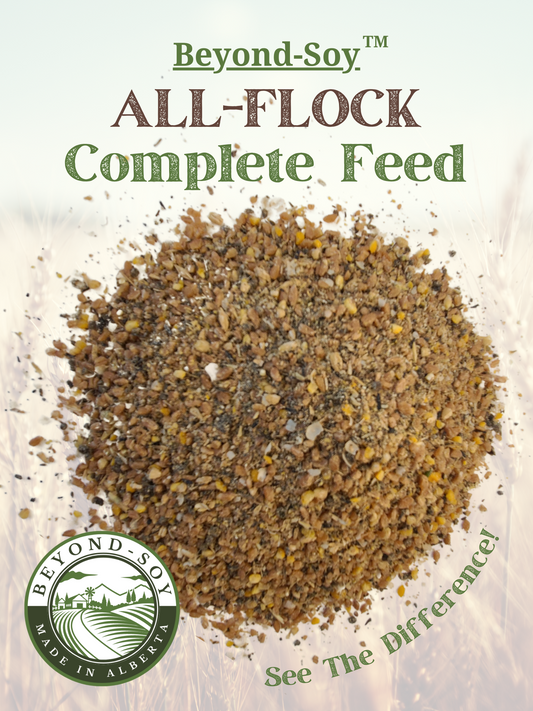 All-Flock Complete Poultry Feed - Farmstead Life Feeds