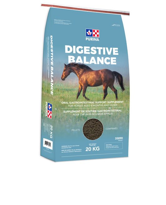 Digestive Balance for Equine