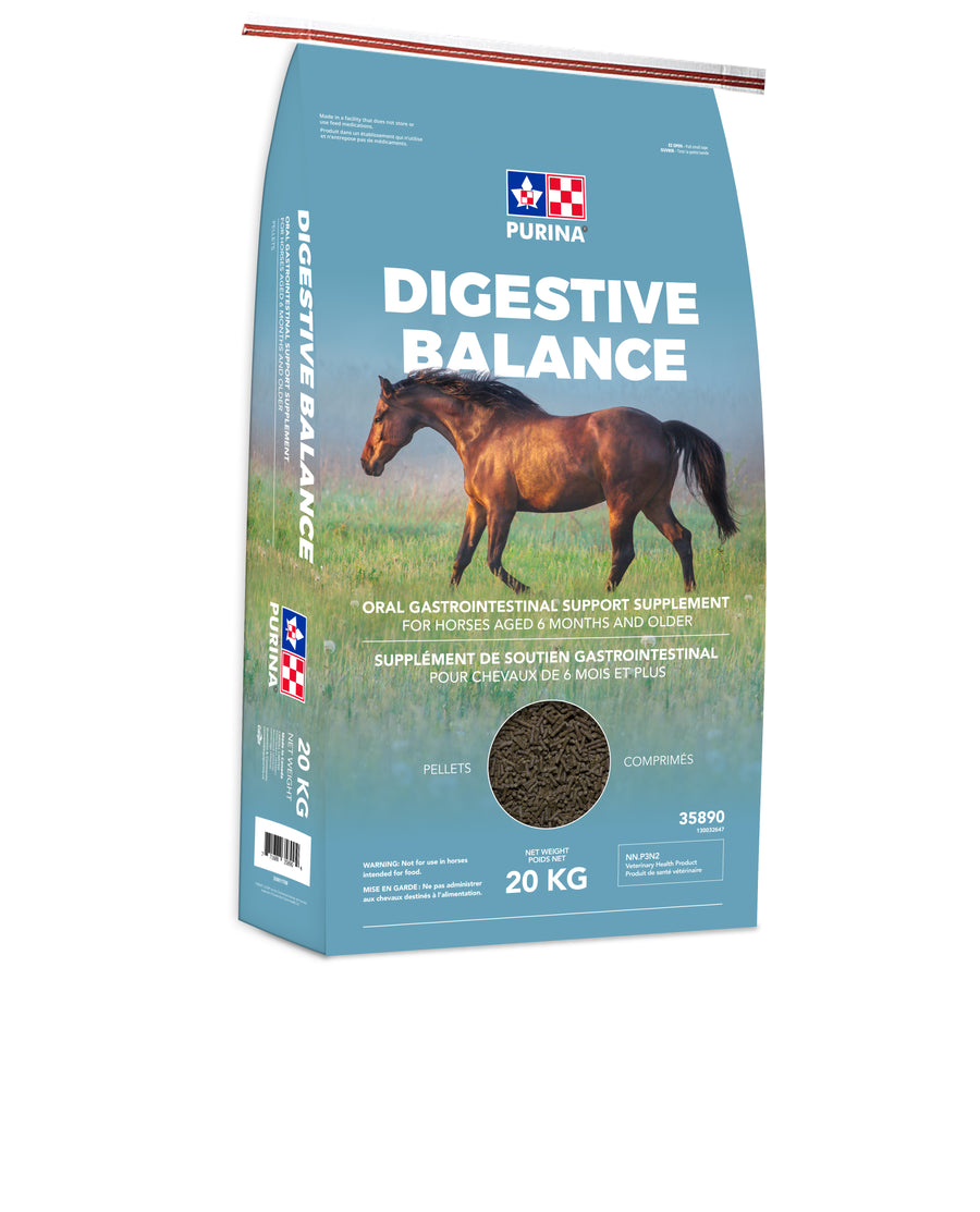 Digestive Balance for Equine, Purina Equine