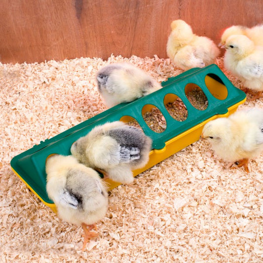 Chick Feeder Linear