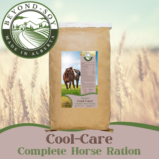 Cool-Care Complete Horse Feed - Farmstead Life Feeds