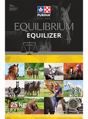 Equilizer Ration Balancer