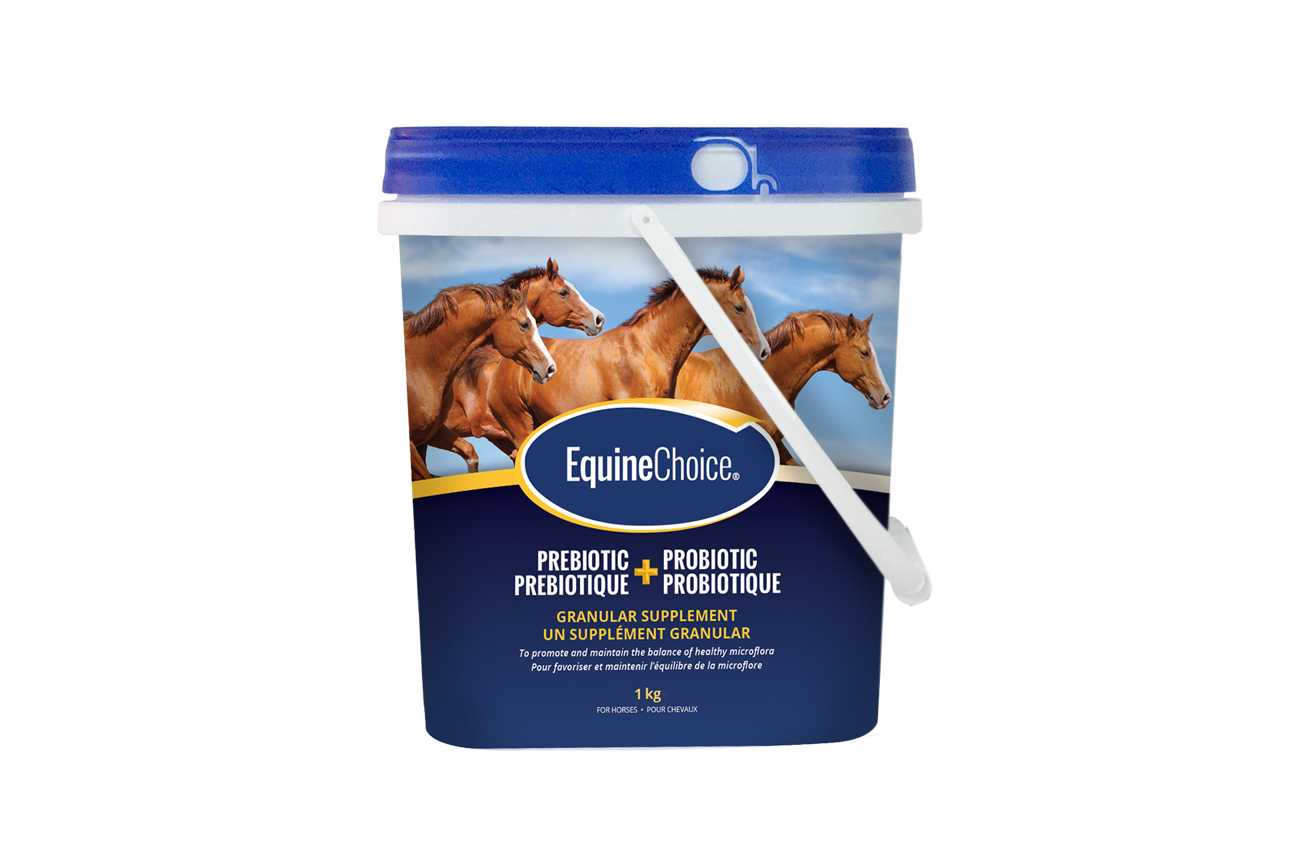 Equine Choice Pre and Pro Biotics