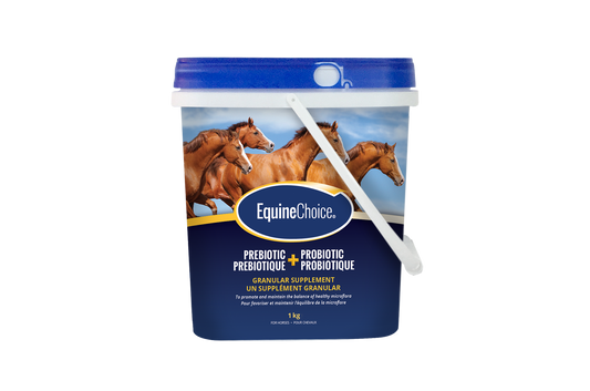 Equine Choice Pre and Pro Biotics