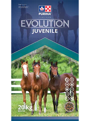 Evolution Juvenile Horse Feed by Purina