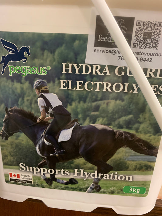 Hydra Guard Electrolyte for Horses
