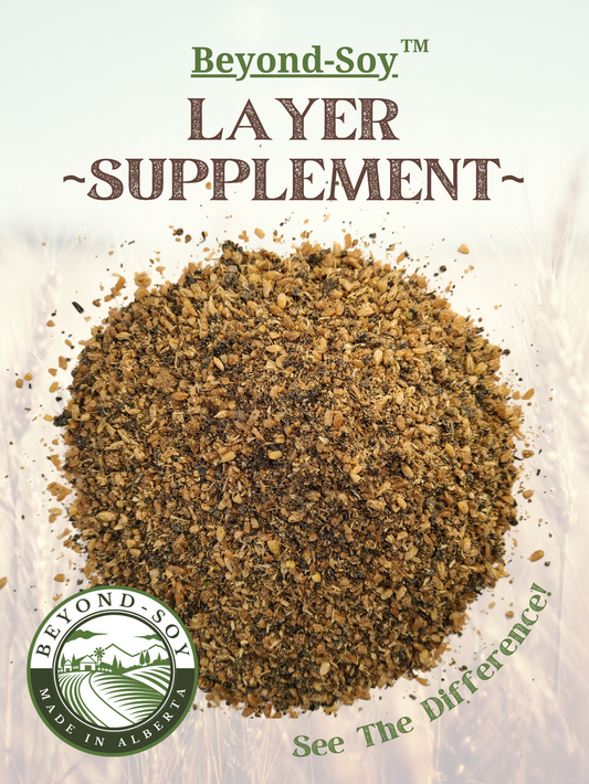 Layer Supplement - Beyond Soy - Farmstead Life Feeds